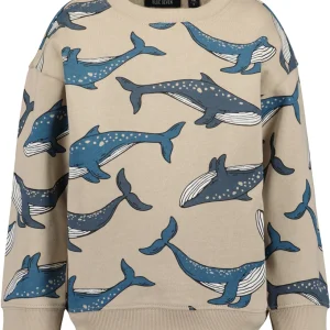 BLUE SEVEN - WALVISSEN TRUI